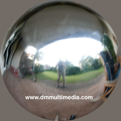 Garden Mirror Ball Image